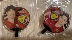 バレーボール スポーツ選手