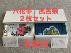 Item thumbnail for item a89e5450-185f-4d75-8c13-ffae1243ee02