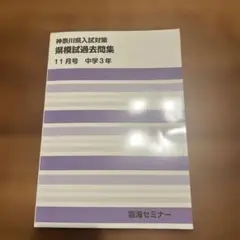 Item thumbnail for item 34c4cc9f-dab4-4333-84cd-2acfa5556c97