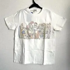 【新品タグ付き】The Endless Summer Tシャツ