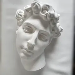 メディチ石膏像60cm - メルカリ