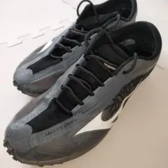 Item thumbnail for item 155bf373-6258-4c6d-b143-0833b787fa24