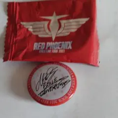 EXILE　メンディー　缶バッチ