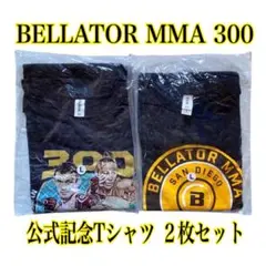 Item thumbnail for item df48be16-9929-4e14-940a-a3fb00b830b3