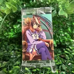 ウマ娘　シンデレラグレイ　ウエハース　シンボリルドルフ　描き下ろし