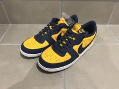 NIKE TERMINATOR LOW MICHIGAN 28.0のサムネイル