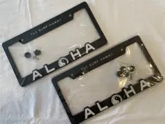 Item thumbnail for item c5df24a2-fc56-470e-bfb8-0fdb188b6282