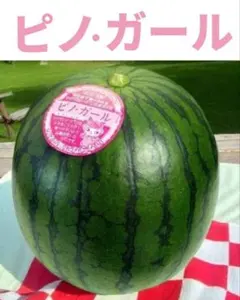 村和様 リクエスト 4点 まとめ商品