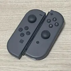 Nintendo Switch ニンテンドースイッチ ジョイコン グレー
