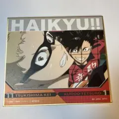 ハイキュー!! 月島蛍 黒尾鉄朗 ミニ色紙