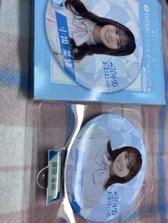 Item thumbnail for item 4fcdb5d1-c342-45e4-87f1-03e1dc1cfda7