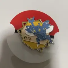 韓国限定 ポケモンフォレスト ポケモン ランダムバッジ100 ナマズン