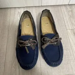 Item thumbnail for item 32fc84e4-cc81-4f17-88df-81196c346c44