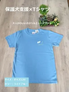 Tシャツ【キッズ120】