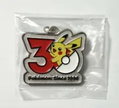 ポケモン30周年 メタルチャームマスコット めじるしアクセサリー ピカチュウ