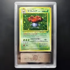 【ARS10+】旧裏 ラフレシア LV.35 ポケモンジャングル