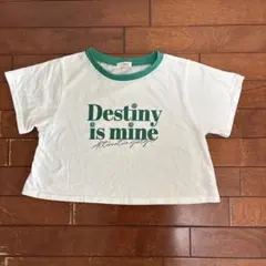 ALGY クロップド　Tシャツ　M 160cmのサムネイル