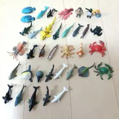 海洋生物フィギュア セット 海の生き物 36体