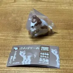 ふんばりーぬ　ジャックラッセルテリア