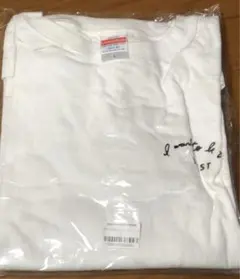 BUDDiiS FUMINORI 小川史記 Tシャツ with コラボ Mサイズ - メルカリ