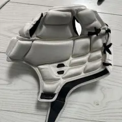 Item thumbnail for item debc2c6d-8e6c-4667-bf6d-346e5353ee7a