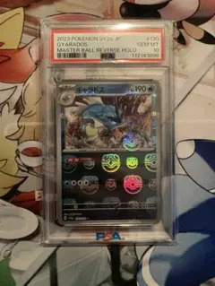 2026年最新】ギャラドス マスターボール psa10の人気アイテム - メルカリ