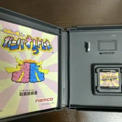 DS 右脳の達人　ガンバれっトレーナー