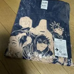 Item thumbnail for item 66884703-5577-421e-b922-8ee3389c8f23