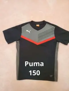 【Puma/150】 VネックTシャツ 黒/グレー/赤