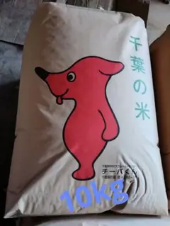 数量限定！出来立て農家直送新米 コシヒカリ玄米！約20キロ！期間限定
