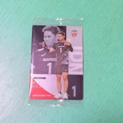 男子バレーボール ウエハース 西田有志