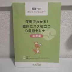 症例でわかる！臨床にスグ役立つ心電図セミナー　基礎編