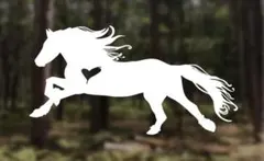 Shiine様 リクエスト 2点 まとめ商品