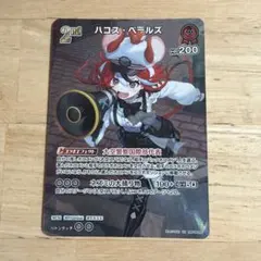 ホロカ ボリュームヴォルテックス SR ハコス・ベールズ