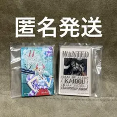 一番くじ　ワンピース G賞　アクリルブロック　カイドウ　手配書　ヤマト