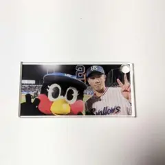 古賀優大 つばみ 鳥づくし定食 アクリルプレート 東京ヤクルトスワローズ