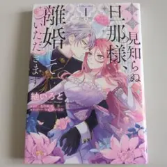 【ほぼ未使用】拝啓見知らぬ旦那様、離婚していただきます　Ⅰ　紬いろと