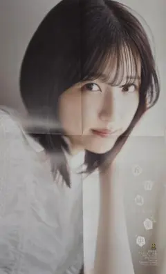 モーニング娘。 尾形春水 コレクションピンナップポスター 2枚セット