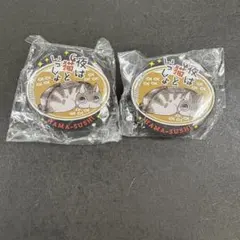 Item thumbnail for item 52251071-f101-49bb-92a6-8c12952983dc