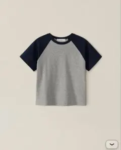 ohotoro Scheme Raglan T-Shirtのサムネイル