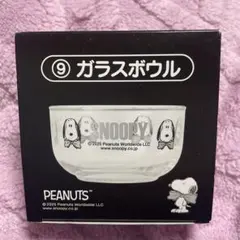 スヌーピー 1番くじ⭐︎ガラスボウル 140ml