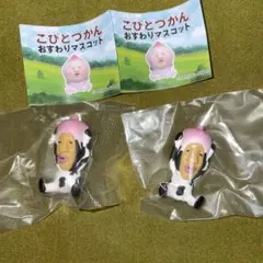 こびとづかん おすわりマスコット シボリオオチチ 2体 新品
