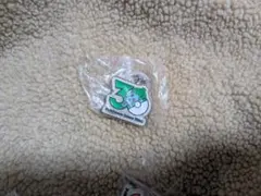 ポケモン 30周年記念 チャーム