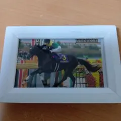 タイトルホルダー 競馬 写真 フォトフレーム コレクション コレクション カード