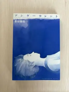 アンダーカレント 豊田徹也 アフタヌーンKCDX