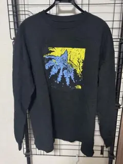 THE NORTH FACE PURPLE LABEL ロンT