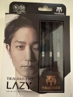 トリニダード レイジー バレル フライト、ケース付き　箱無し ダーツ > ソフトダーツ > ブランド【タ行】 > トリニダード