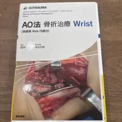 AO法骨折治療Wrist⭐︎裁断済み - メルカリ
