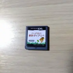 がんばる私の家計ダイアリー ニンテンドーDS