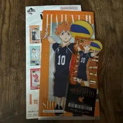 ハイキュー 日向翔陽 一番くじ